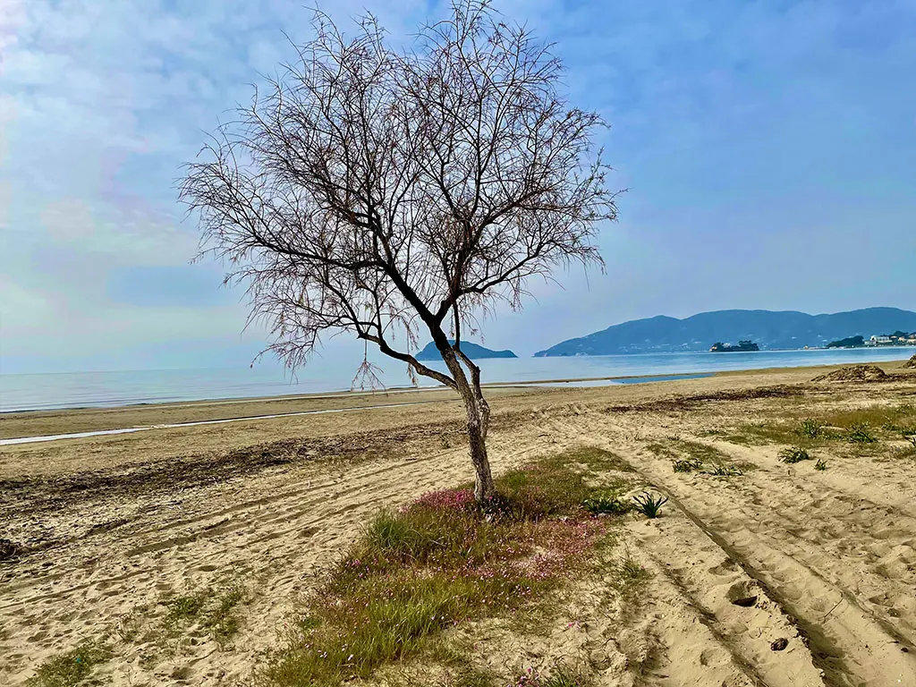 Spiagge e luoghi da vedere a Zante