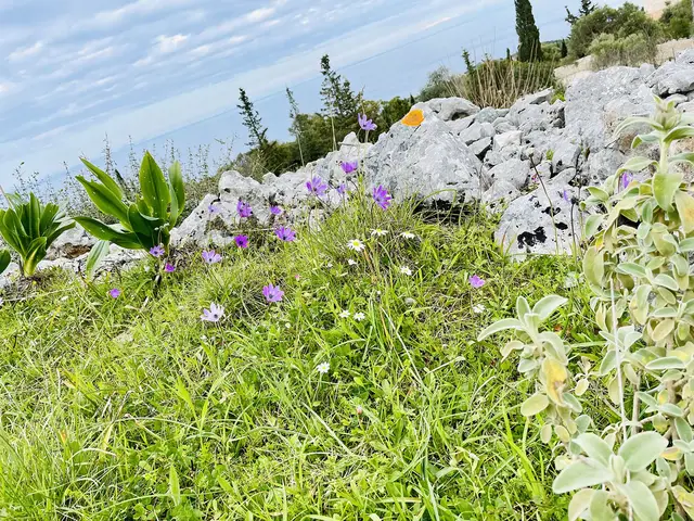 Thalassa Green: la scelta di un turismo lento e naturale