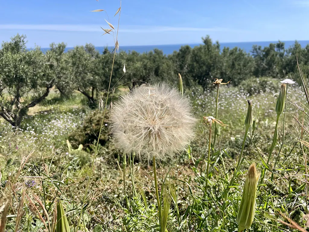 Thalassa Green: la scelta di un turismo lento e naturale