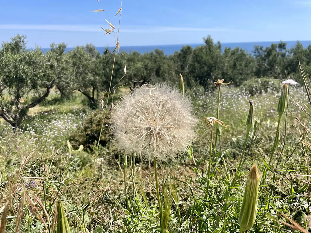 Vacanze sostenibili a Zante: la nostra idea di turismo green