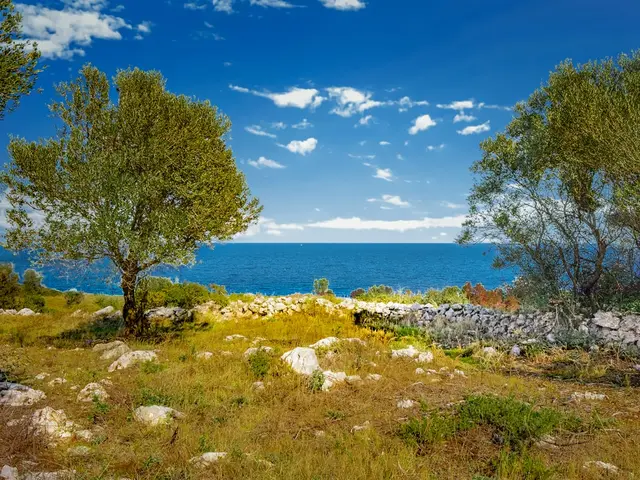 Viaggiare responsabilmente a Zante: scelte eco-friendly per il tuo viaggio etico - Thalassagreen