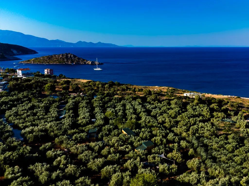 Veduta aerea dell’oliveto di Thalassa Green con il mare sullo sfondo