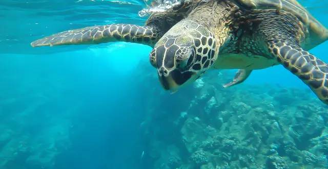 Zante: mare e natura 2