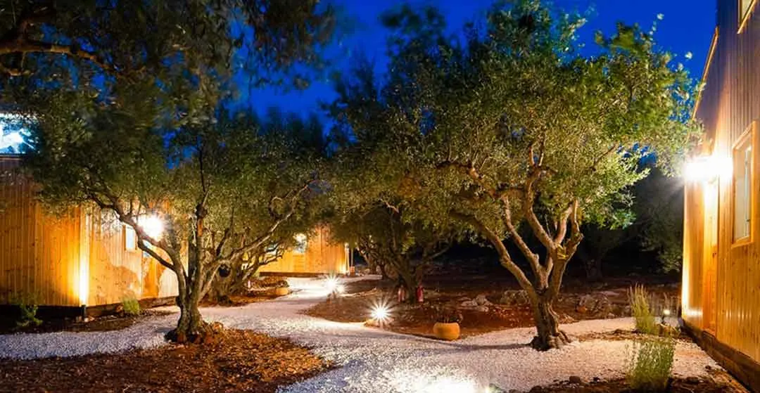 Un sentiero illuminato tra gli ulivi accanto ai cottage